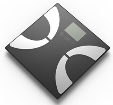 Portable Body Fat Calculator